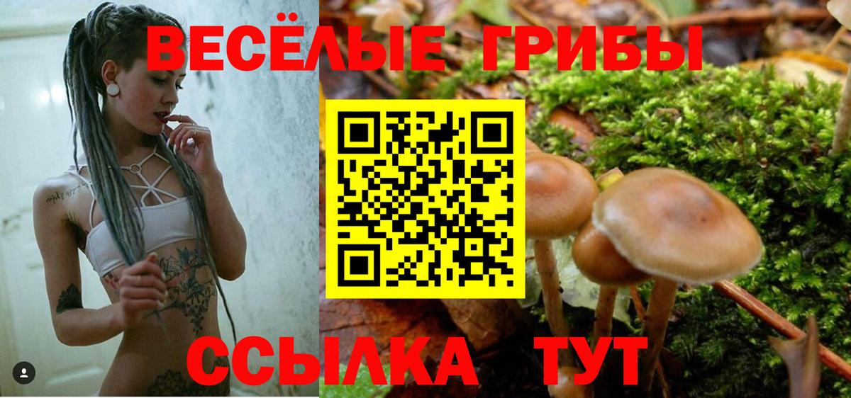 Галлюциногенные грибы Cubensis Тихвин