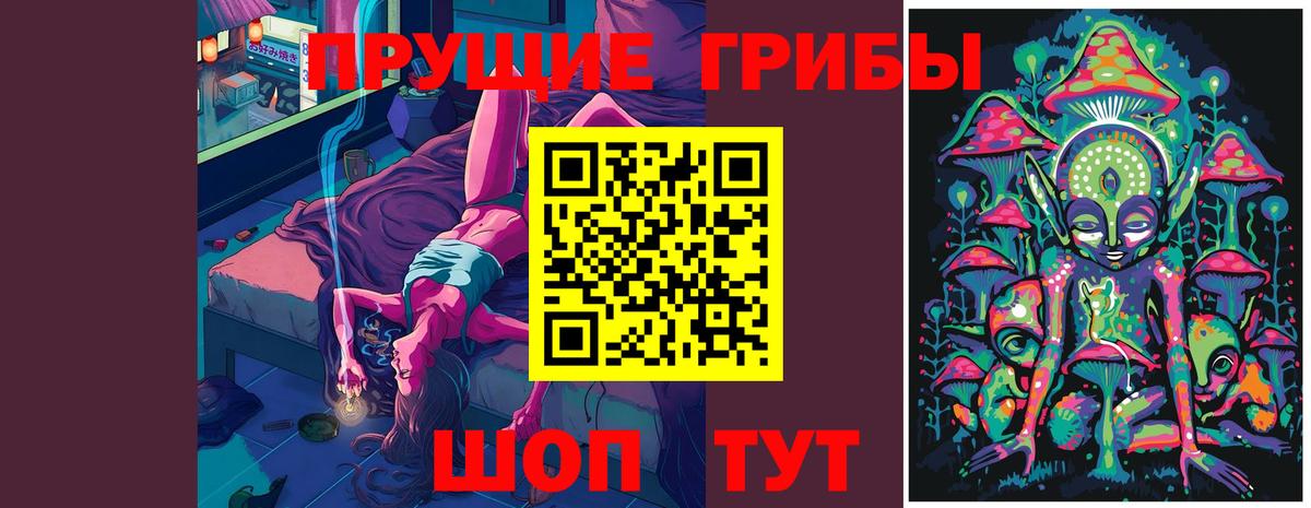 Псилоцибиновые грибы GOLDEN TEACHER  Вход с VPN  Тихвин 