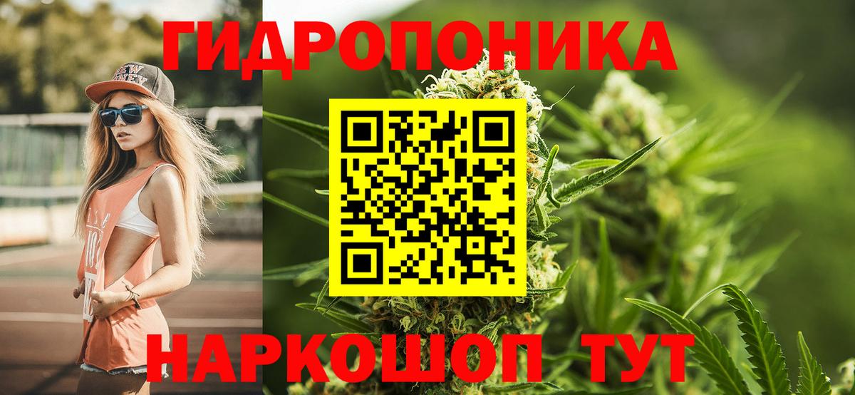 Тихвин  Каннабис индика  Вход с VPN  Канабис сатива  МАРИХУАНА ГИДРОПОН 